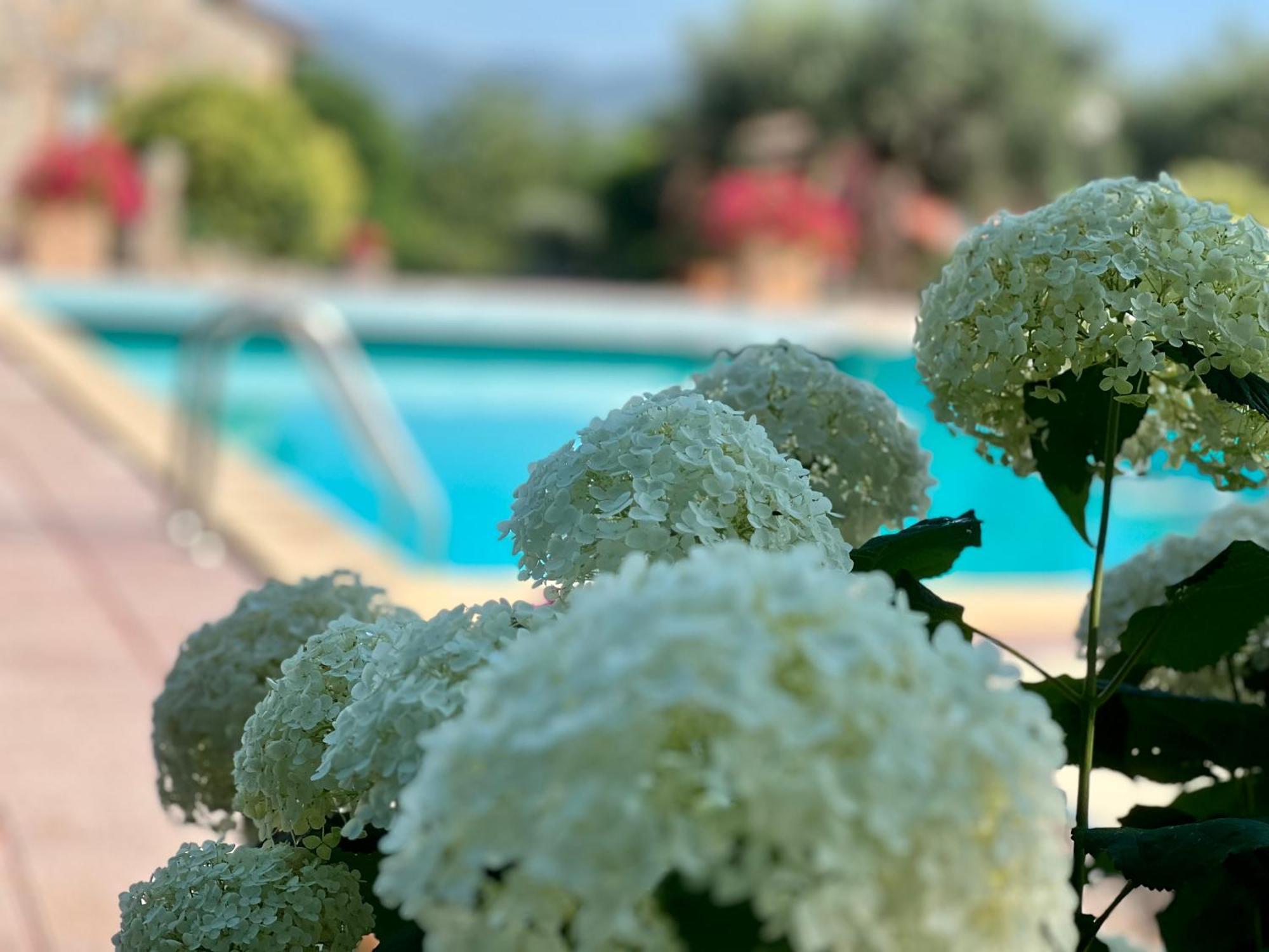 Le Case Di Lisetta Holiday Homes Корчано Екстериор снимка