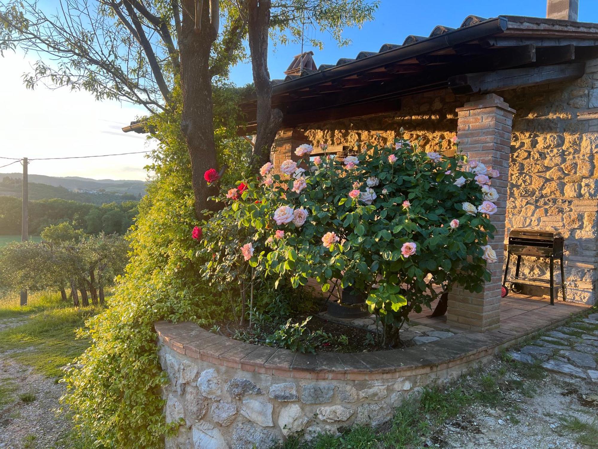 Le Case Di Lisetta Holiday Homes Корчано Екстериор снимка