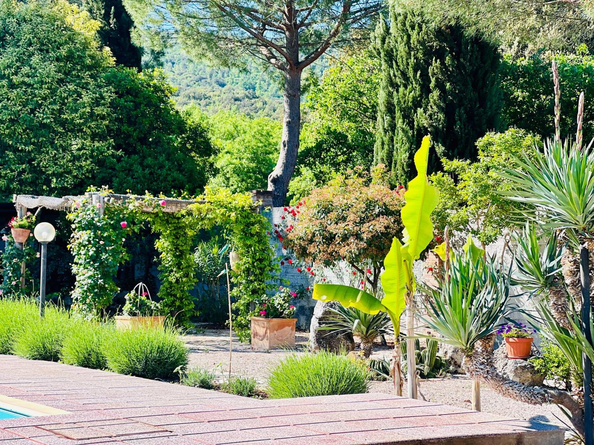 Le Case Di Lisetta Holiday Homes Корчано Екстериор снимка