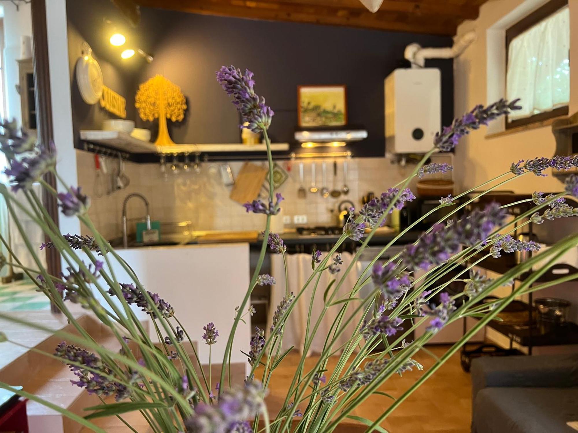 Le Case Di Lisetta Holiday Homes Корчано Екстериор снимка
