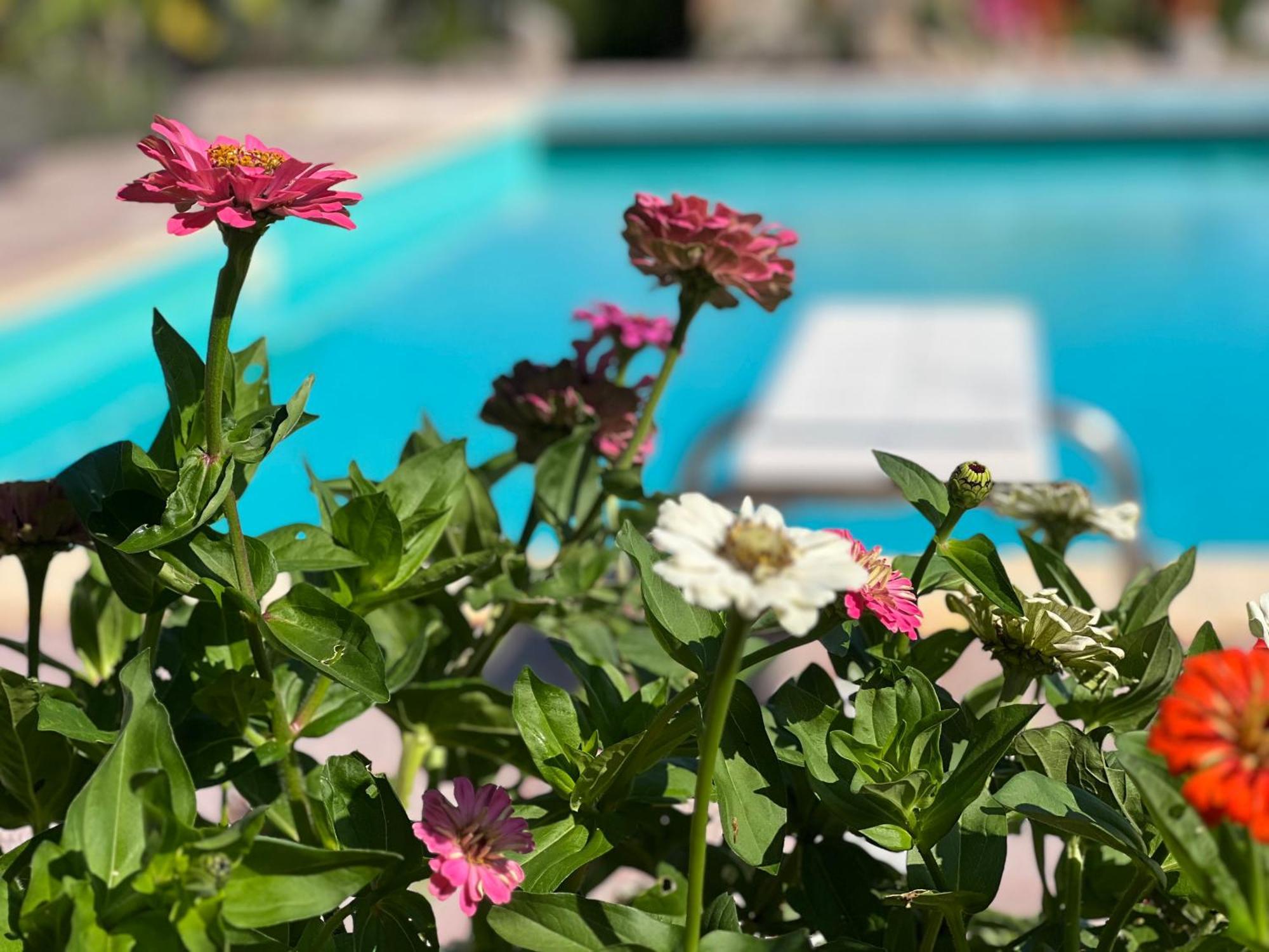 Le Case Di Lisetta Holiday Homes Корчано Екстериор снимка