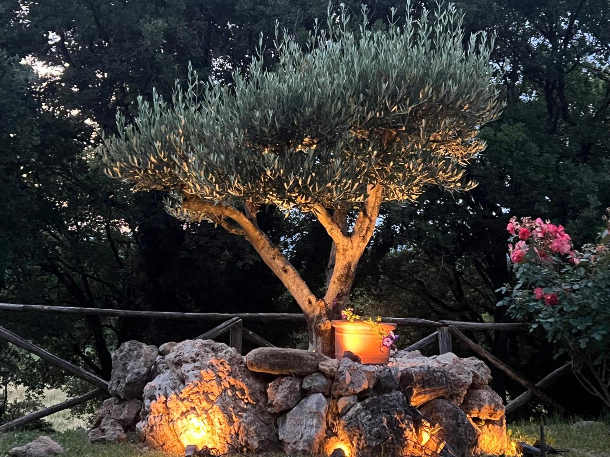Le Case Di Lisetta Holiday Homes Корчано Екстериор снимка